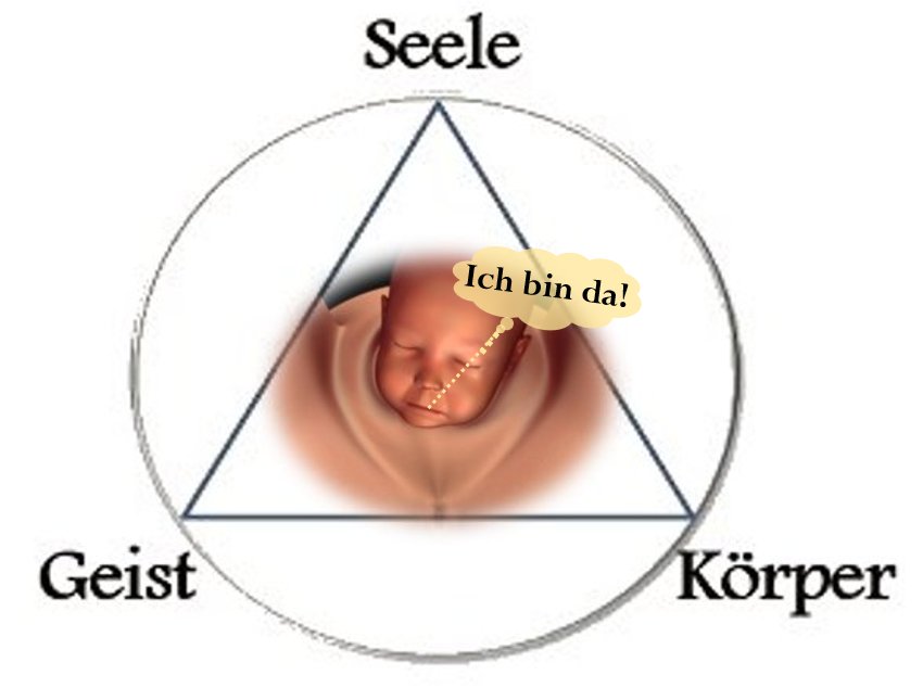 Die Geburt des Menschen